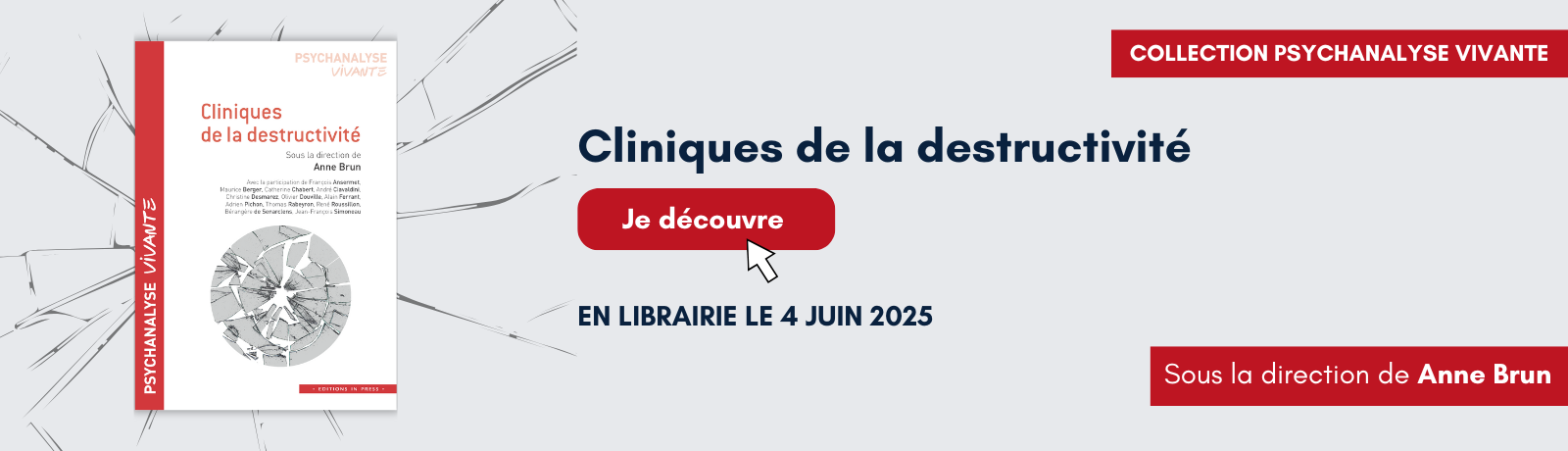 banniere-clinique-desctructivite